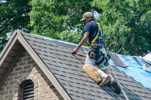 Best Gutter Installation and Roofing  in Kirtland, OH